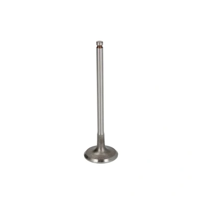 Afbeelding van FRECCIA R6806/RNT Uitlaatklep 26,1 Klepsteel met nitraat verzien CITROËN: C3 II, Berlingo II Van, PEUGEOT: 2008 Estate, 208 I Hatchback