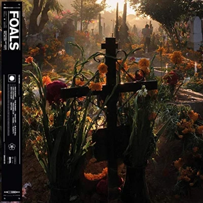Afbeelding van Foals Everything Not Saved..2