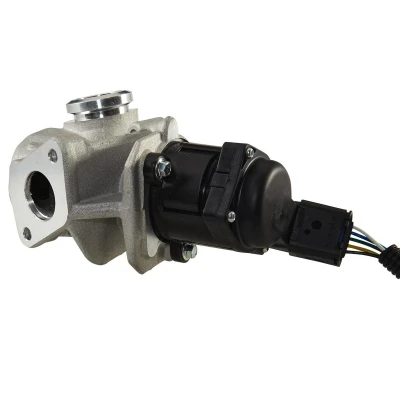 Afbeelding van Hella EGR klep 6NU 010 171 651