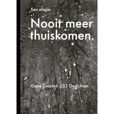 Afbeelding van Nooit meer thuiskomen, een elegie