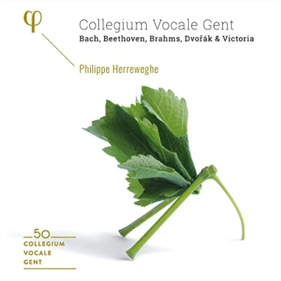 Afbeelding van Collegium Vocale Gent, Philippe Herreweghe Gent: 50Th Anniversary (6 CD)
