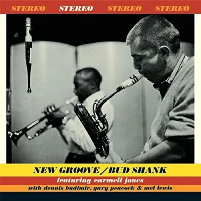 Afbeelding van NEW GROOVE/LP