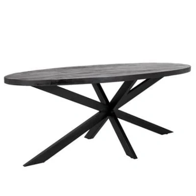 Afbeelding van Giga Meubel Eettafel Mansour Ovaal Zwart Mangohout 160cm