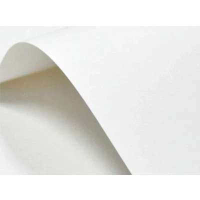 Afbeelding van Netuno 40 x glad wit karton A5 148 210 mm 246 g Elfenbein knutselkarton decoratief papier voor uitnodigingskaarten visitekaartjes menukaarten certificaten elegant van hoge kwaliteit