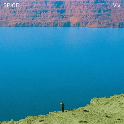 Afbeelding van Spice Viv (LP)