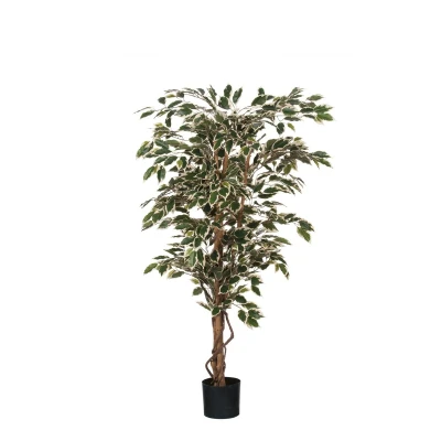 Afbeelding van Mica Decorations ficus hawaii 135x75 groen bont in plastic pot