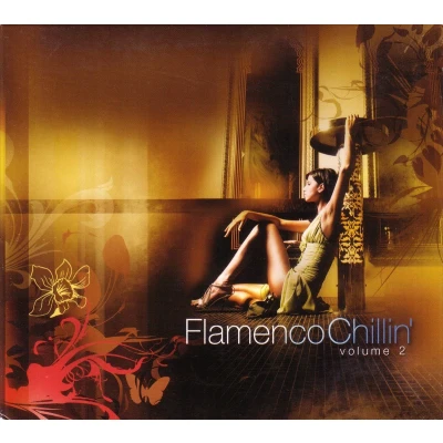 Afbeelding van Various Artists Flamenco Chillin&#039; Vol.2 (CD)