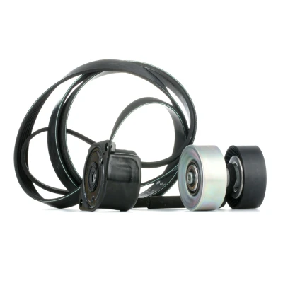 Afbeelding van Poly V riem set INA 529 0314 10
