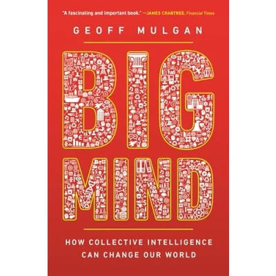 Afbeelding van Big Mind How Collective Intelligence Can Change Our World