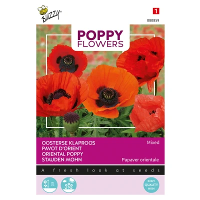 Afbeelding van Poppies of the world papaver orientaalse Buzzy
