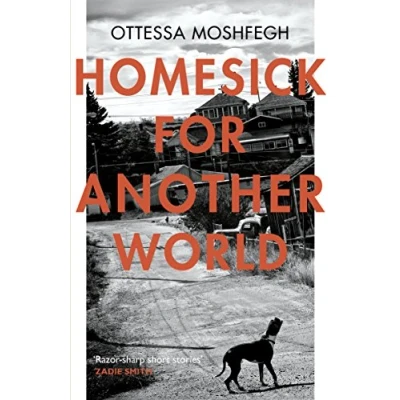 Afbeelding van Homesick For Another World