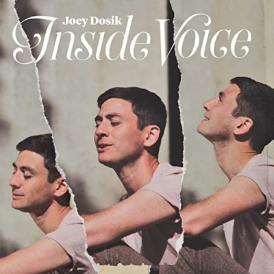 Afbeelding van Joey Dosik Inside Voice (LP)
