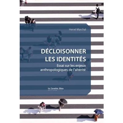 Afbeelding van LES DECLINAISONS DE L&#039;IDENTITE