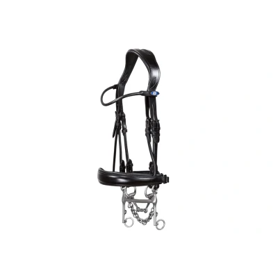 Image de PS of Sweden Passage anatomical double bridle