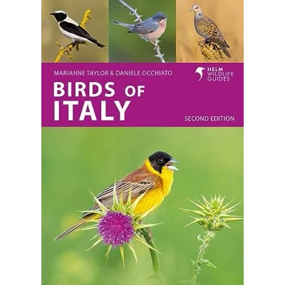 Afbeelding van Helm Wildlife Guides Birds of Italy