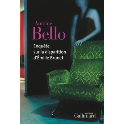 Afbeelding van ISBN Enquete Sur La Disparition D&#039;Emilie Brunet, Misdaadboeken, Frans, Paperback