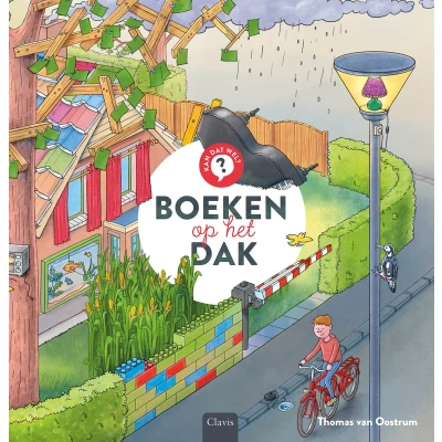 Afbeelding van Boeken op het dak