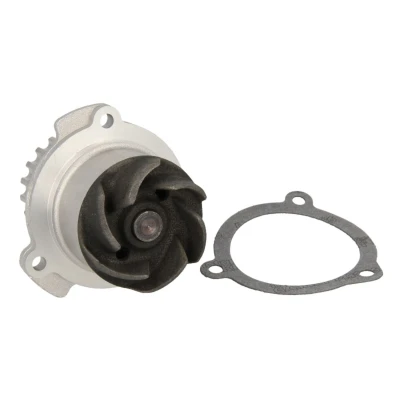 Afbeelding van HEPU P622 Waterpomp 21 Met pakking Mechanisch Metaal