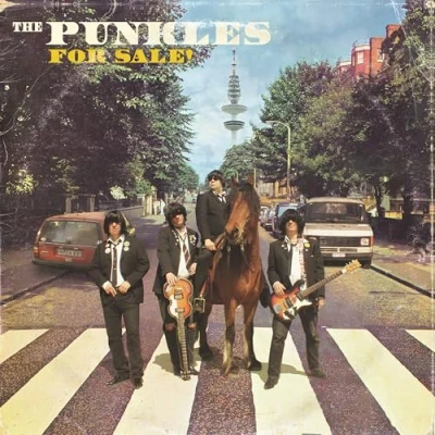 Afbeelding van Punkles For Sale! (LP)