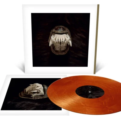 Afbeelding van Amenra De Toorn (Single)