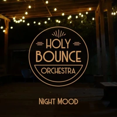 Afbeelding van Holy Bounce Orchestra Night Mood (CD)