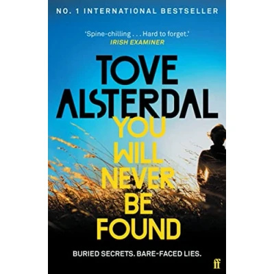 Afbeelding van High Coast series You Will Never Be Found