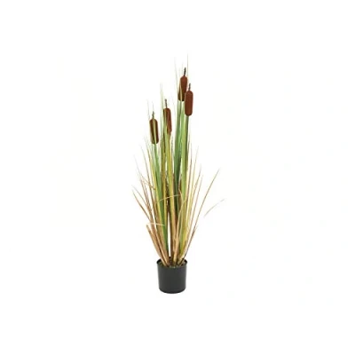 Afbeelding van EUROPALMS Bulrush, alrtificial plant, 150cm