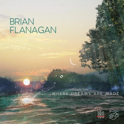 Afbeelding van Brian Flanagan Where Dreams Are Made (LP)