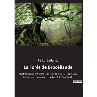 Afbeelding van La Forêt de Brocéliande