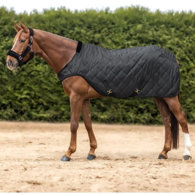 Afbeelding van Waldhausen Stapmolendeken Exclusive Zwart 135/185