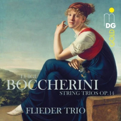 Afbeelding van Flieder Trio String Trios, Op.14 (CD)