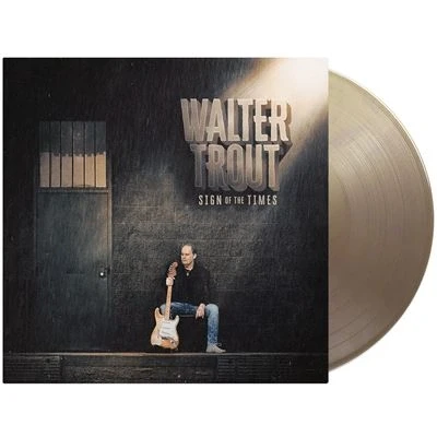 Image de Sign Of The Times Édition Limitée Vinyle Marron Doré