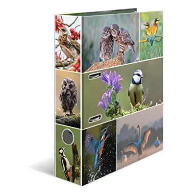 Afbeelding van HERMA Ordner A4, vogelmotief, 7 cm breed, voor kinderen, kleurrijke dierenprint, jongens en meisjes