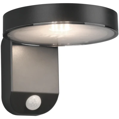 Afbeelding van REALITY POSADAS Wandlamp Antraciet incl. 1x SMD 4,5W Bewegingssensor Zonne energie Solar Snoerloos Buitenverlichting IP44