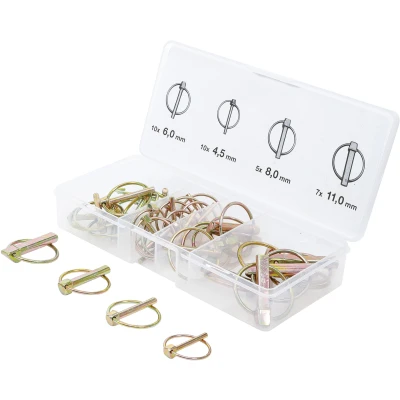 Afbeelding van BGS Assortiment ringborgpennen Ø 4,5 11 mm 32 delig