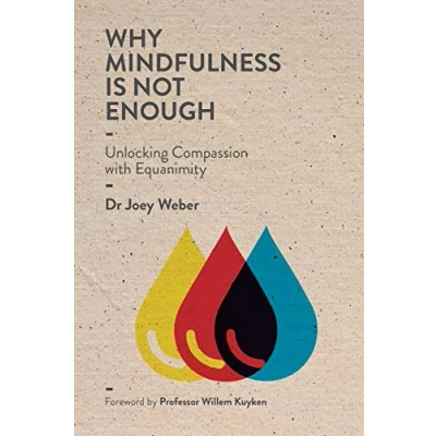 Afbeelding van Why Mindfulness is not Enough