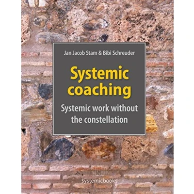 Afbeelding van Systemic coaching