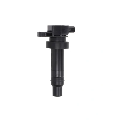 Afbeelding van Bobine DELPHI GN10590 12B1