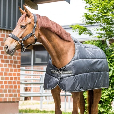 Afbeelding van Back on Track Rhyolite Insulated Liner 100g Zwart 145/198 Agradi.be