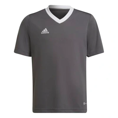 Afbeelding van adidas Performance Entrada 22 Voetbalshirt voor kinderen, Maat: 116, Grey