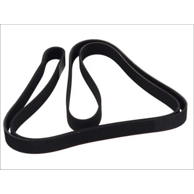 Afbeelding van Poly V riem DT 4.80721