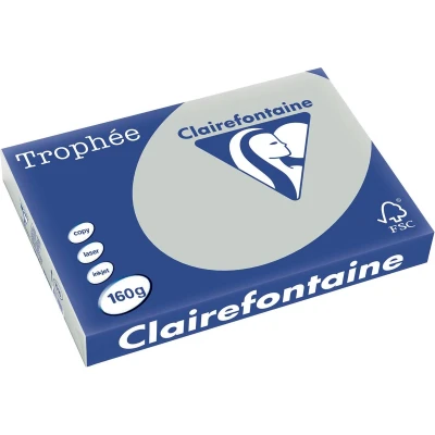 Afbeelding van Clairefontaine Trophée Pastel, Gekleurd Papier, A3, 160 G, 250 Vel, Lichtgrijs Papier