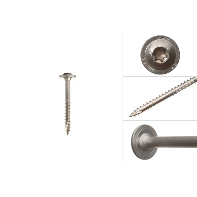 Afbeelding van Wovar Tellerkopschroeven RVS A4 6.0 x 50 mm Torx 25 Doos 100 Stuks