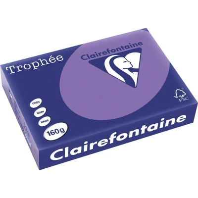 Afbeelding van Clairefontaine Trophée Intens, gekleurd papier, A4, 160 g, 250 vel, violet papier