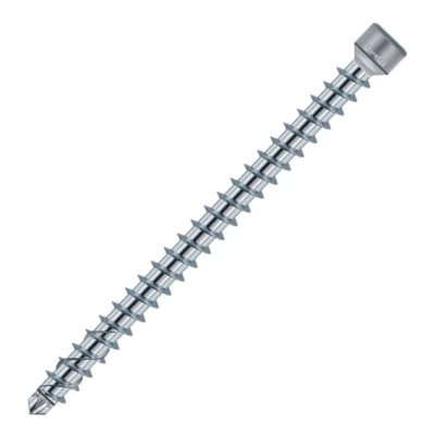 Afbeelding van Voldraad constructieschroeven 8x245 verzinkt 50 stuks