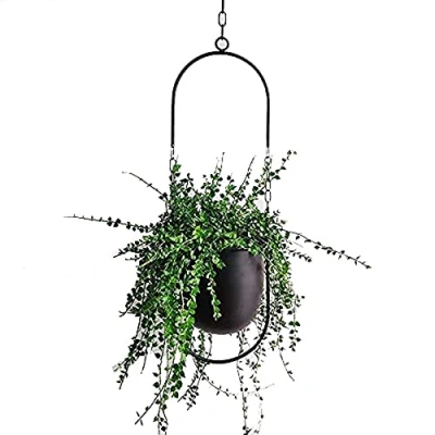 Afbeelding van Beihaoer Metalen hangende plantenpot voor kamerplanten, vetplanten, luchtplanten, cactussen, decoratie (zwart)