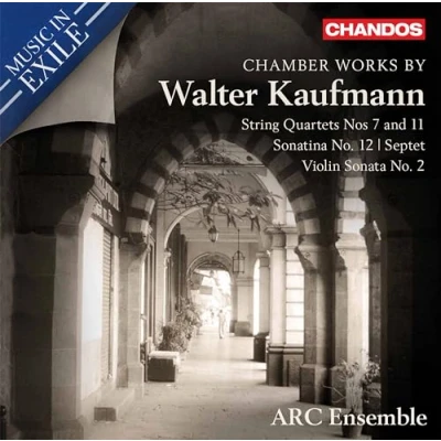 Afbeelding van Arc Ensemble Chamber Works By Walter Kaufmann (CD)
