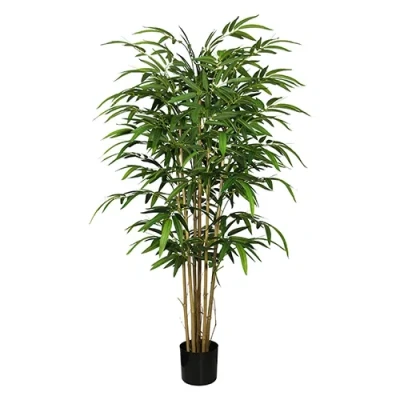 Afbeelding van Bamboe groen 155 cm Buitengewoon de Boet