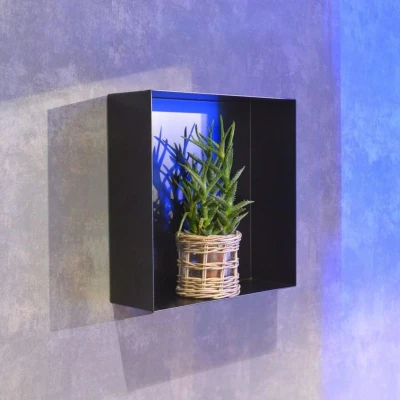 Afbeelding van LoooX Colour Box inbouwnis 15x30x10cm RVS Mat zwart