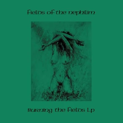 Afbeelding van Fields of the Nephilim Burning (2 LPs)